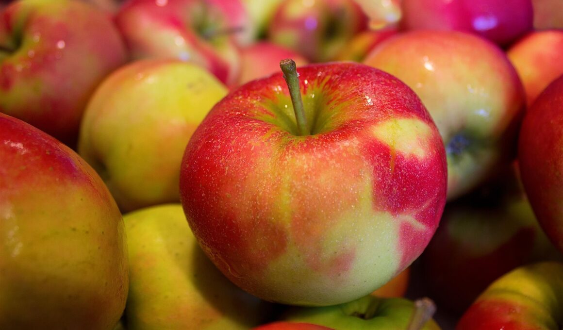 Das Bild zeigt Äpfel.