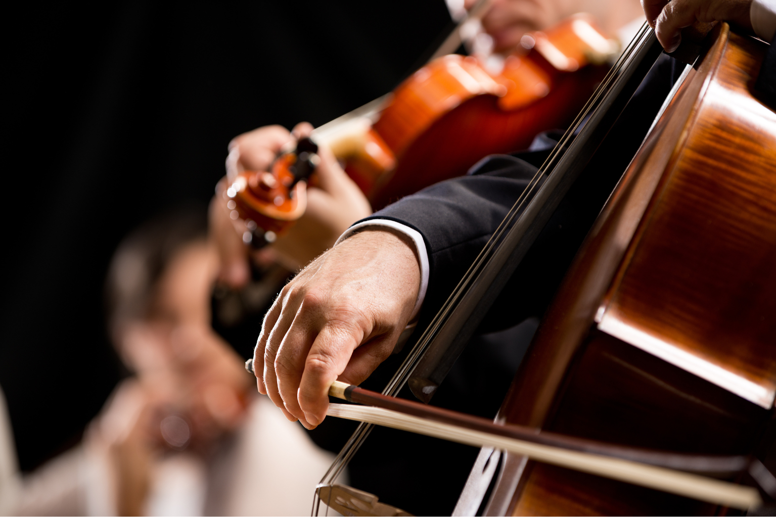 Das Foto zeigt Musiker:innen aus einem klassischen Orchester bei einem Konzert.