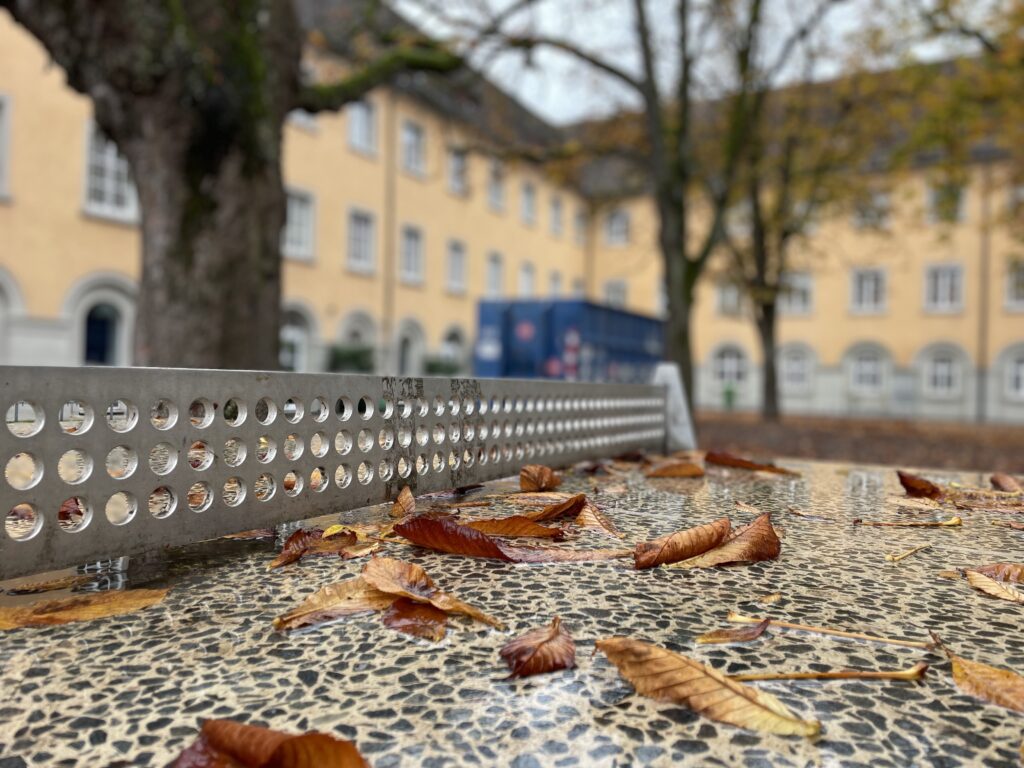 Das Foto zeigt Laubblätter auf einer Tischtennisplatte in Konstanz