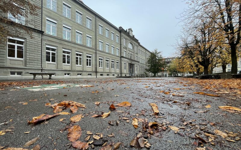 Das Foto zeigt die Konstanzer Wallgutschule im Herbst 2023.
