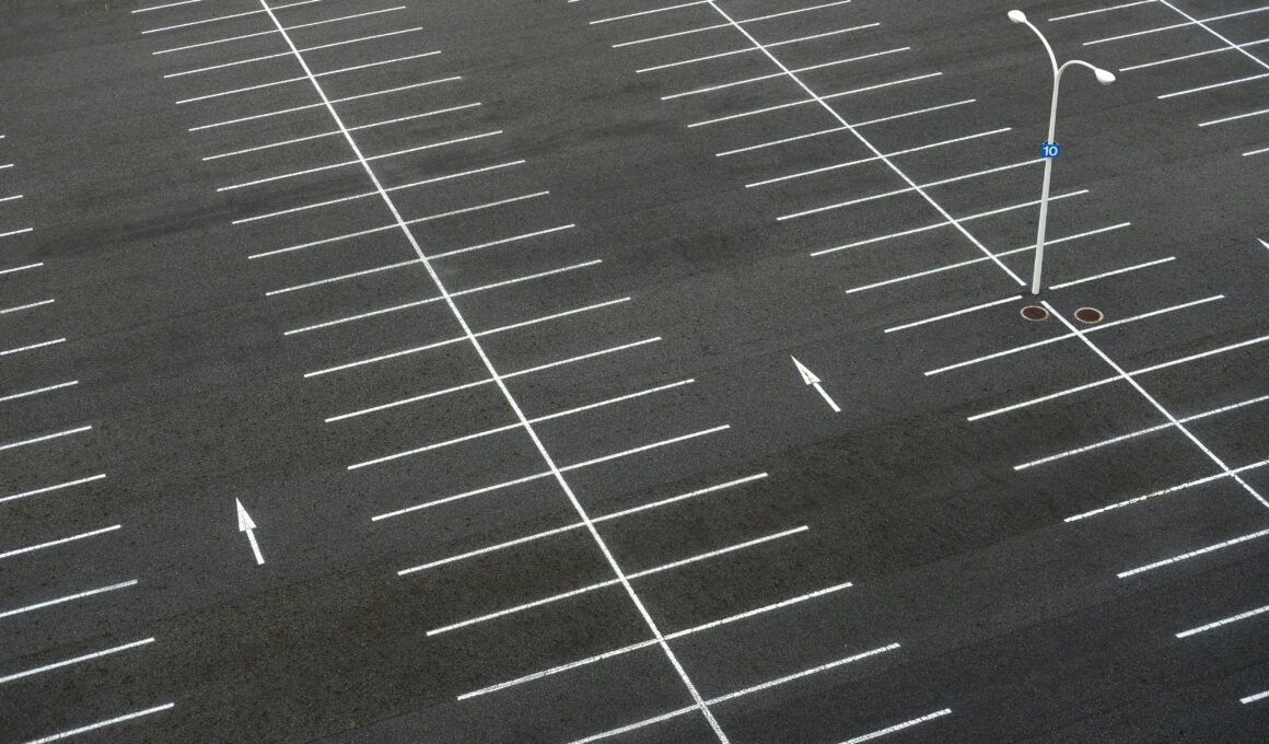 Luftaufnahme eines leeren Parkplatzes mit klar markierten Stellflächen und Richtungsmarkierungen. In der Mitte steht eine einzelne Straßenlaterne.